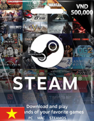 Steam 500000 VND (21 USD)