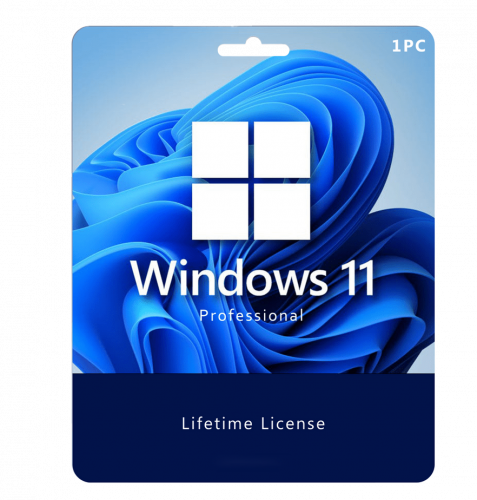 Windows 11 Pro 32/64 Bit